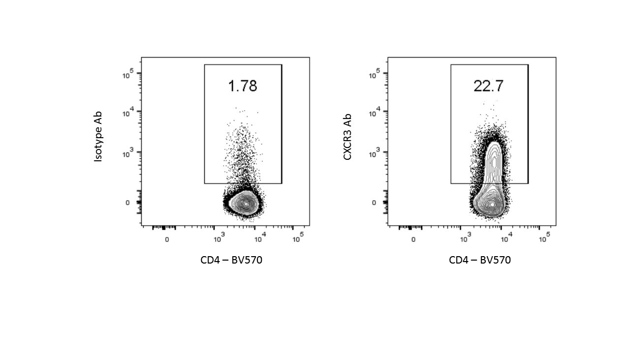 Mouse CXCR3 Antibody MAB1685