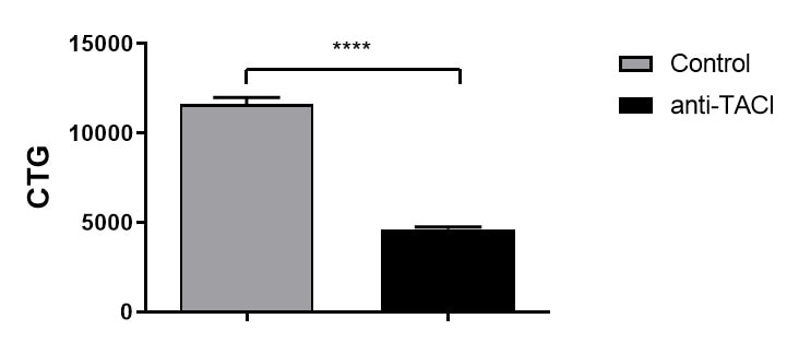 Human TACI/TNFRSF13B Antibody MAB1741