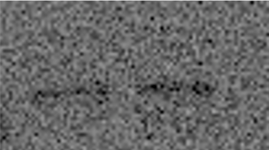 Human Integrin  beta 1/CD29 Antibody MAB17781