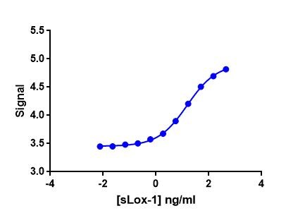 Human LOX‑1/OLR1 Antibody MAB17981