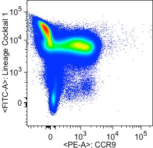 Human CCR9 Antibody MAB179