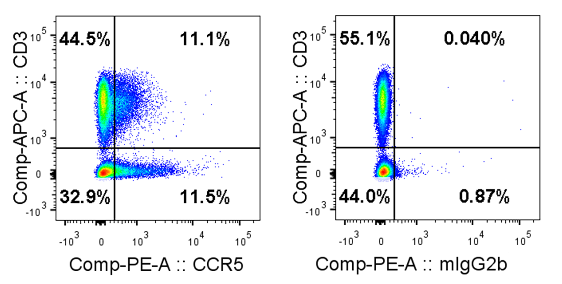 Human CCR5 Antibody MAB182