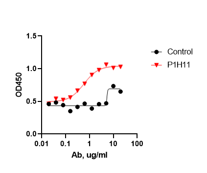 Human Fibronectin Antibody MAB1918