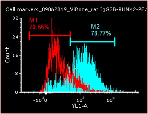 Human RUNX2/CBFA1 Antibody MAB2006