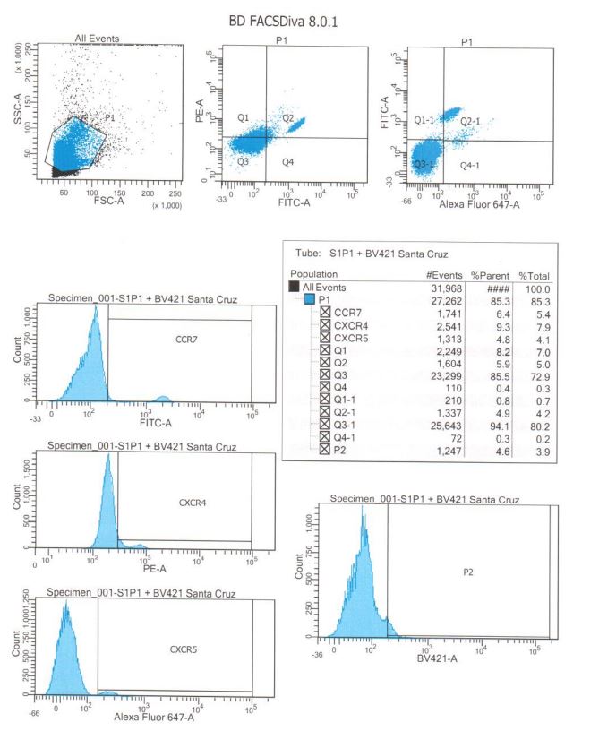 Human S1P1/EDG-1 Antibody MAB2016