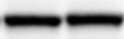 Human LILRB1/CD85j/ILT2 Antibody MAB20172