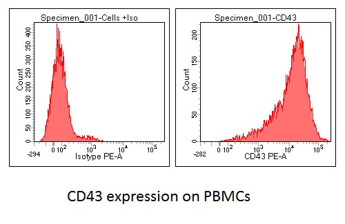 Human CD43 Antibody MAB2038