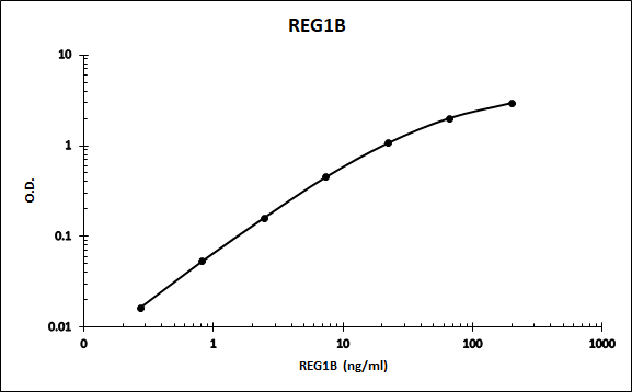 Human Reg1B Antibody MAB2090