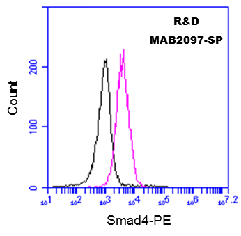 Human Smad4 Antibody MAB2097