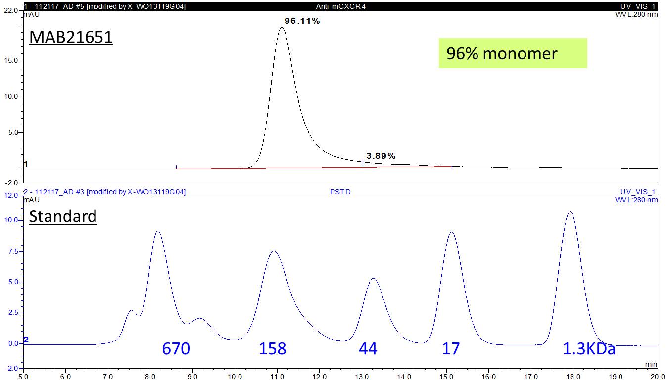 Mouse CXCR4 Antibody MAB21651