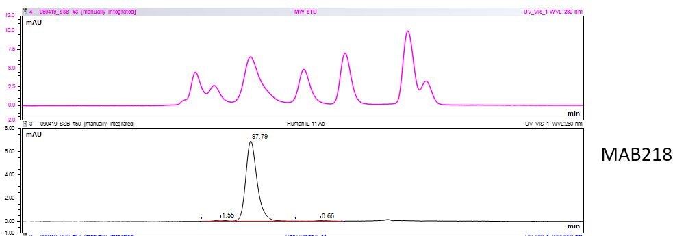 Human IL‑11 Antibody MAB218