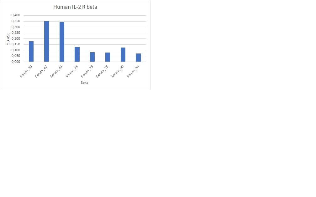 Human IL‑2 R beta  Antibody MAB224
