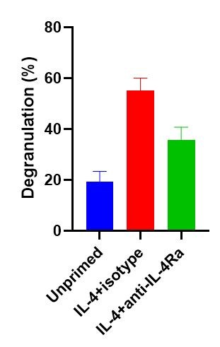 Human IL-4R alpha  Antibody MAB230