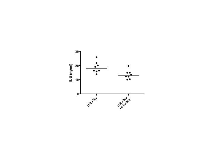 Human IL‑36 gamma /IL‑1F9 Antibody MAB2320