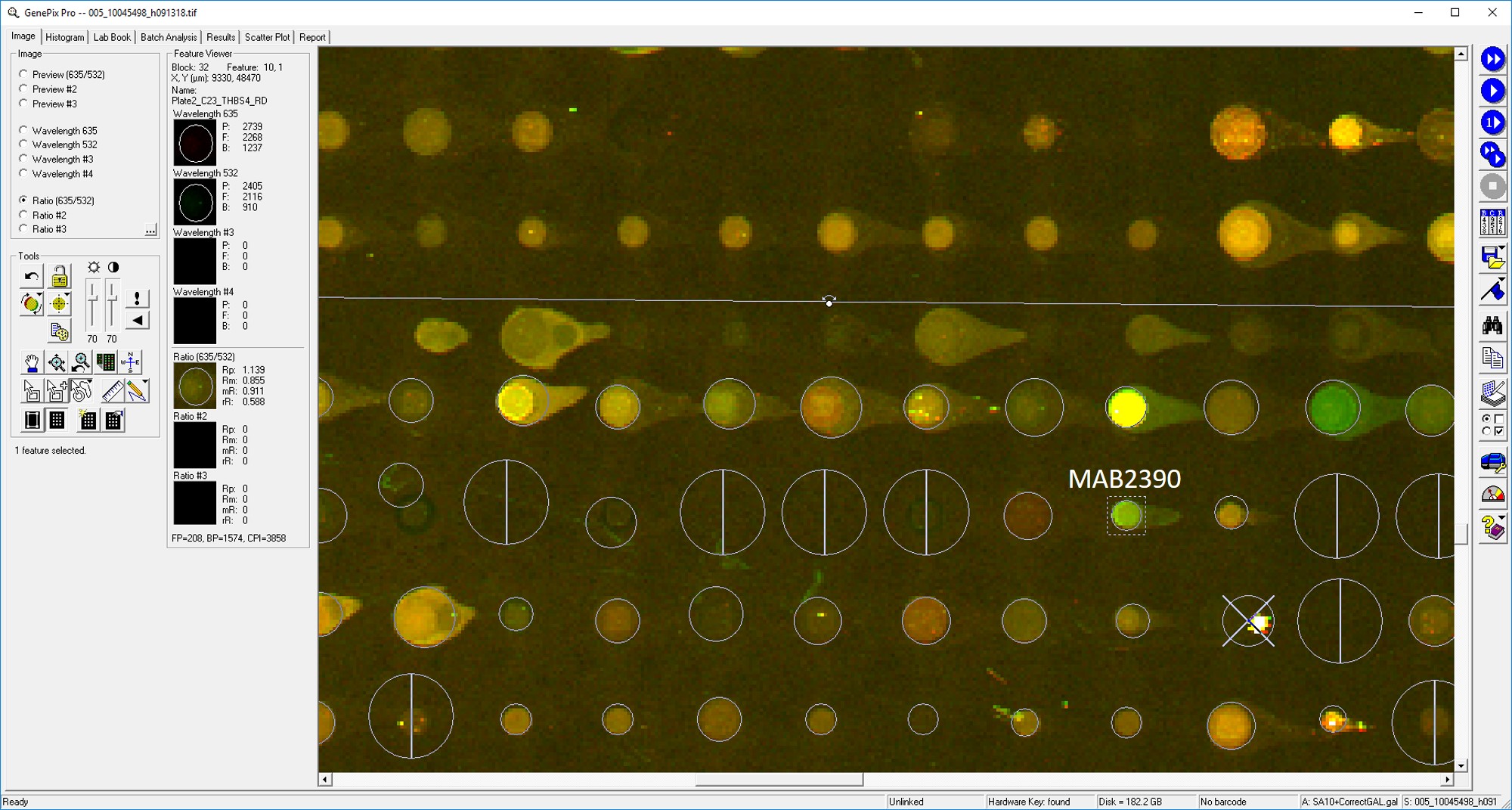 Human Thrombospondin‑4 Antibody MAB2390