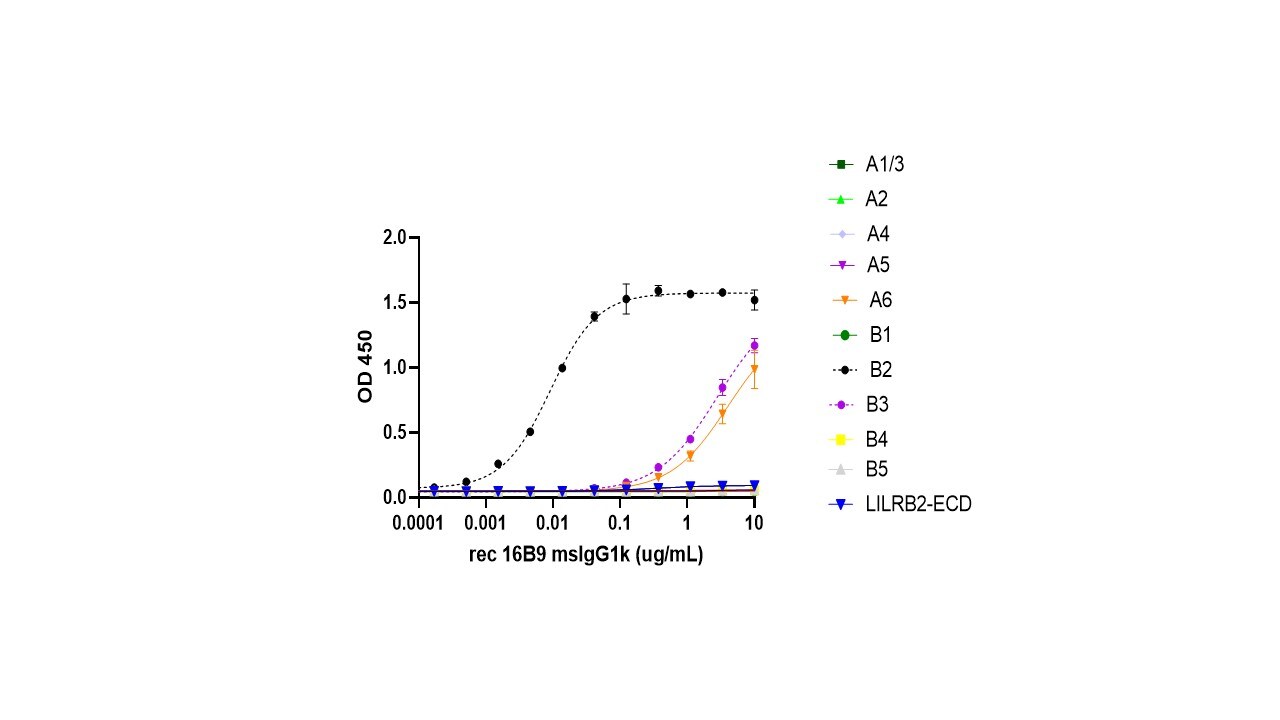 Human DDR1 Antibody MAB2396