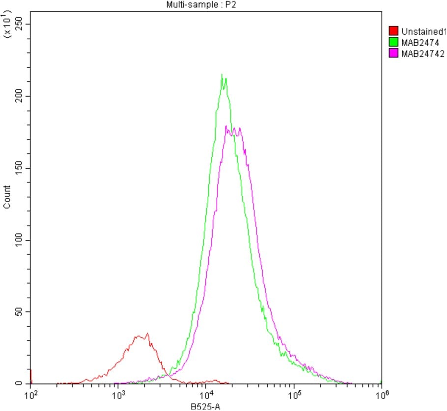 Human TfR (Transferrin R) Antibody MAB2474