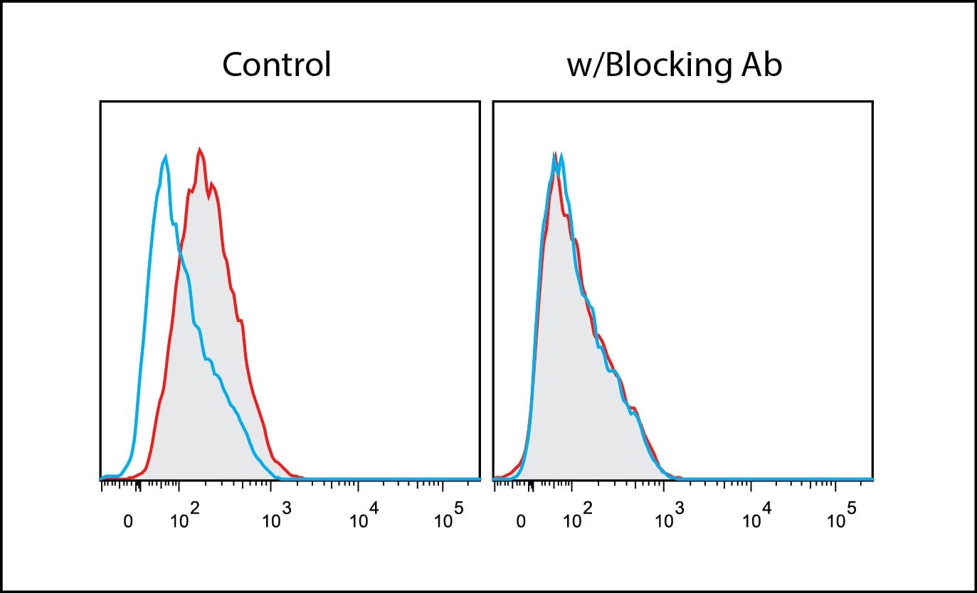 Human Integrin  alpha V beta 5 Antibody MAB2528