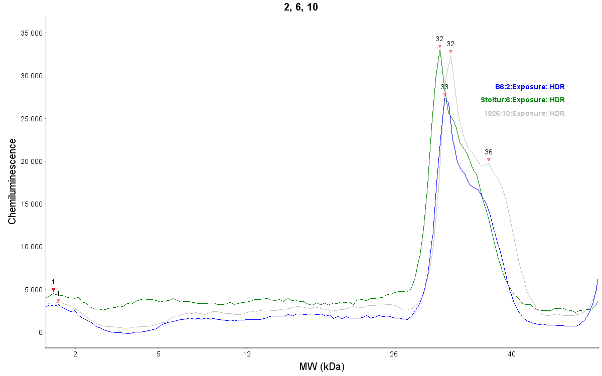 Human Pro  beta ‑NGF Antibody MAB2562