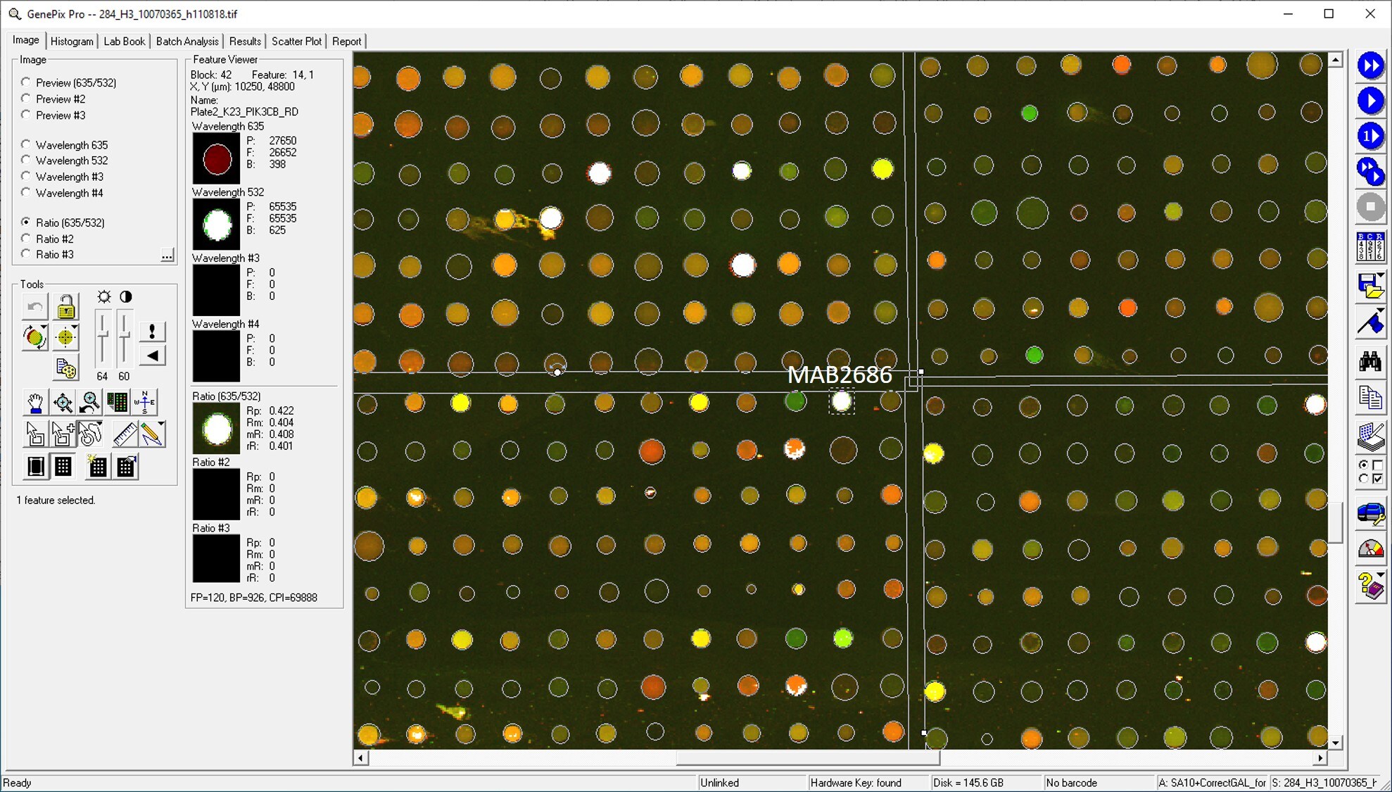 Human PI 3-Kinase p110 beta  Antibody MAB2686