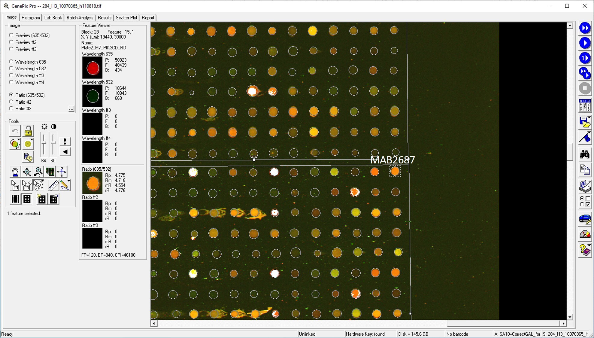Human PI 3-Kinase p110 delta Antibody MAB2687