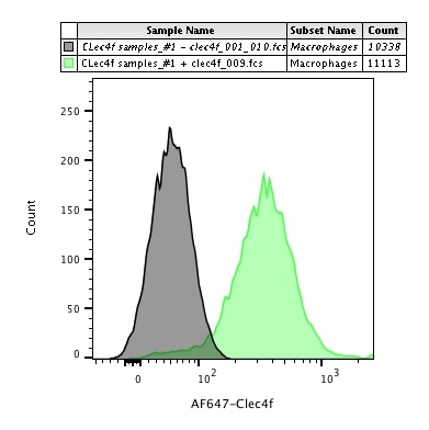 Mouse CLEC4F/CLECSF13 Antibody MAB2784