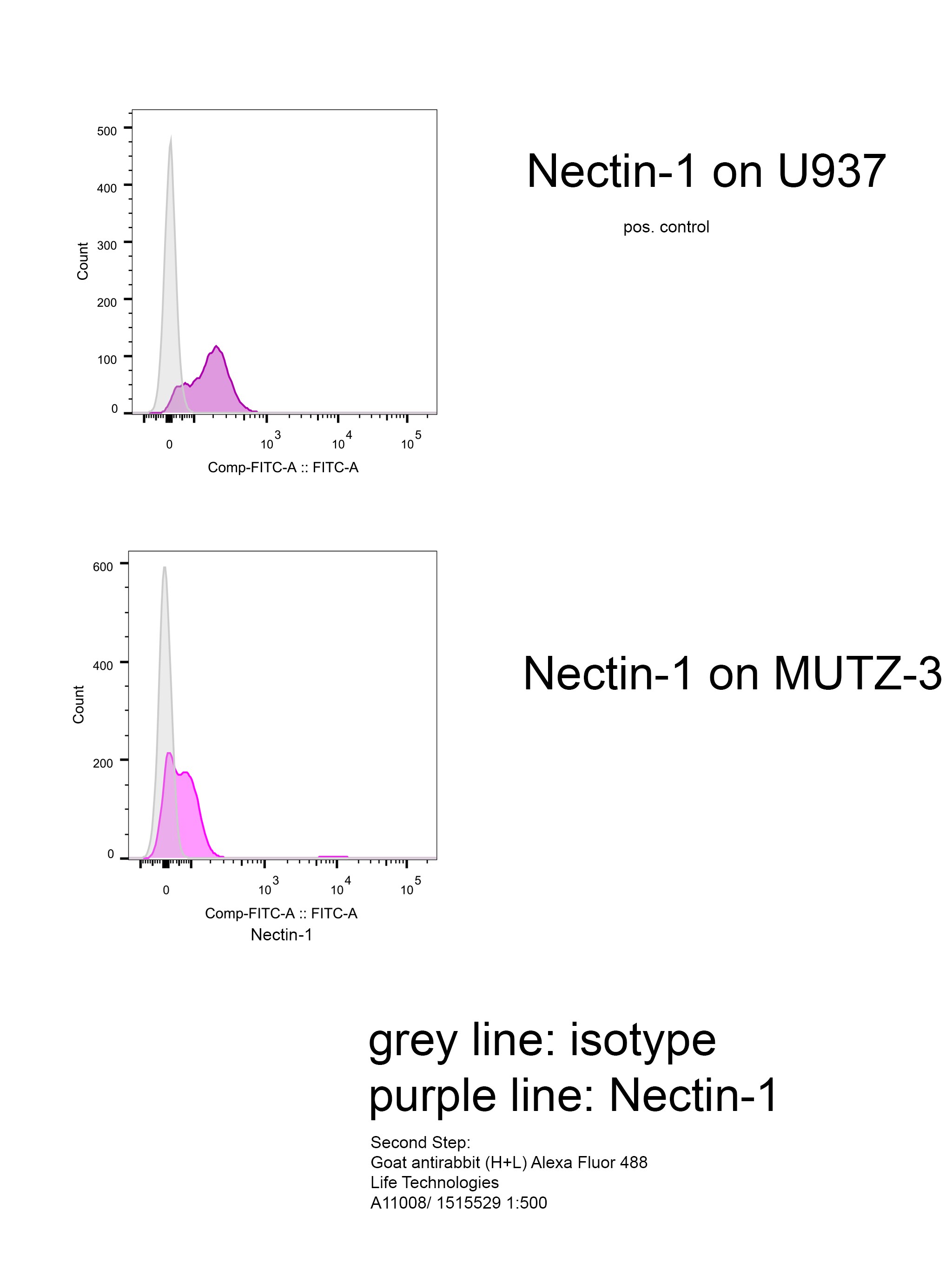 Human Nectin‑1 Antibody MAB2880