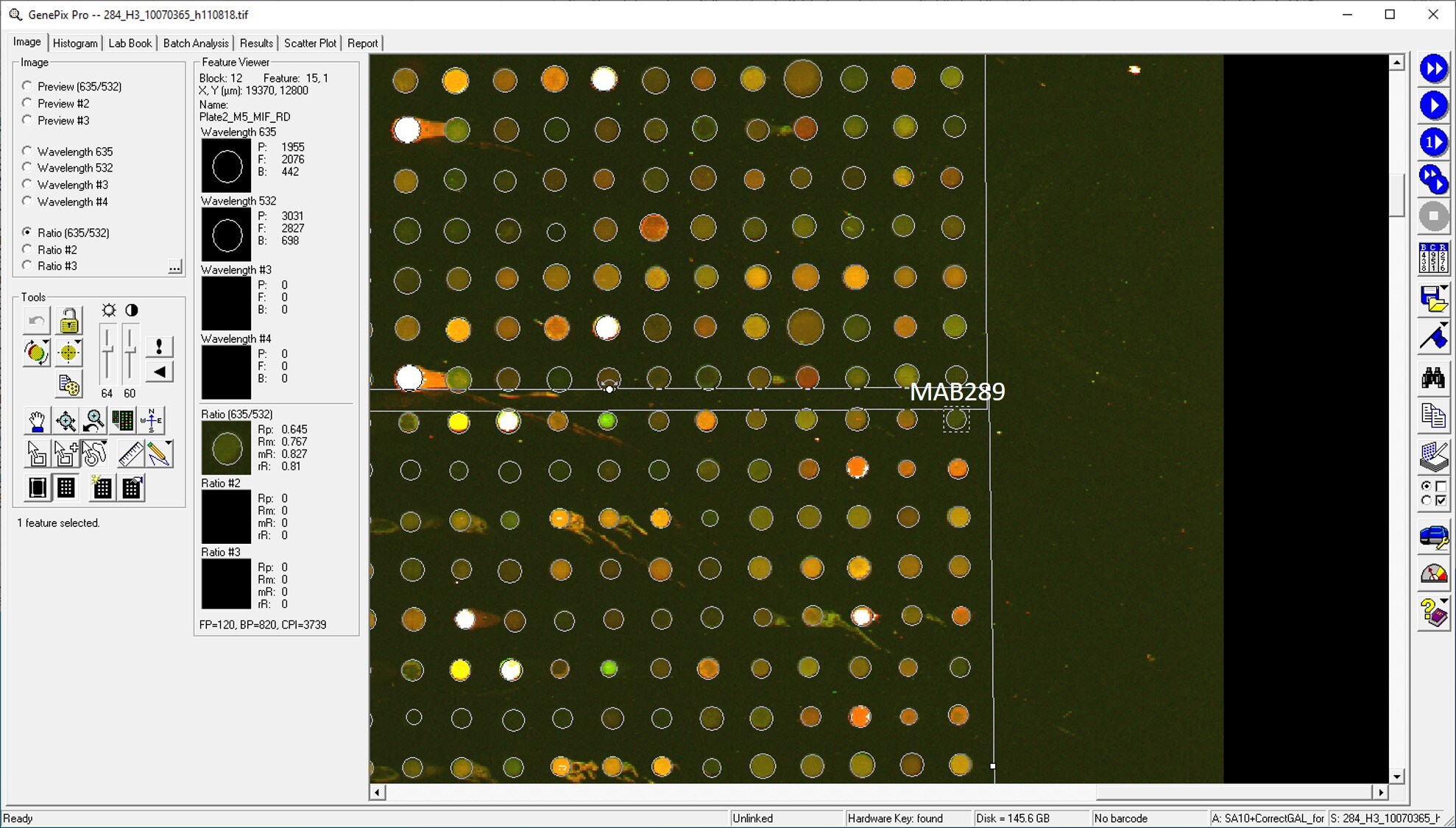 Human MIF Antibody MAB289