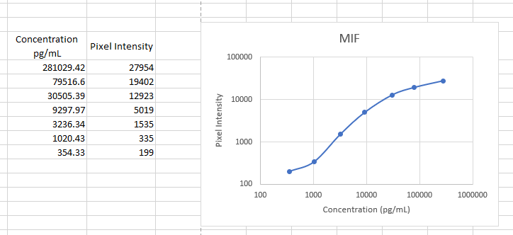Human MIF Antibody MAB289