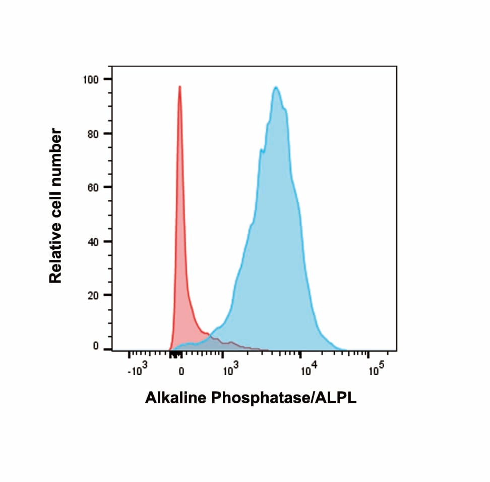 Human Alkaline Phosphatase/ALPL Antibody MAB29091