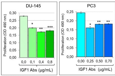 Human IGF-I/IGF-1 Antibody MAB2912