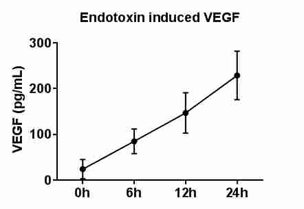 Human/Primate VEGF Antibody MAB293
