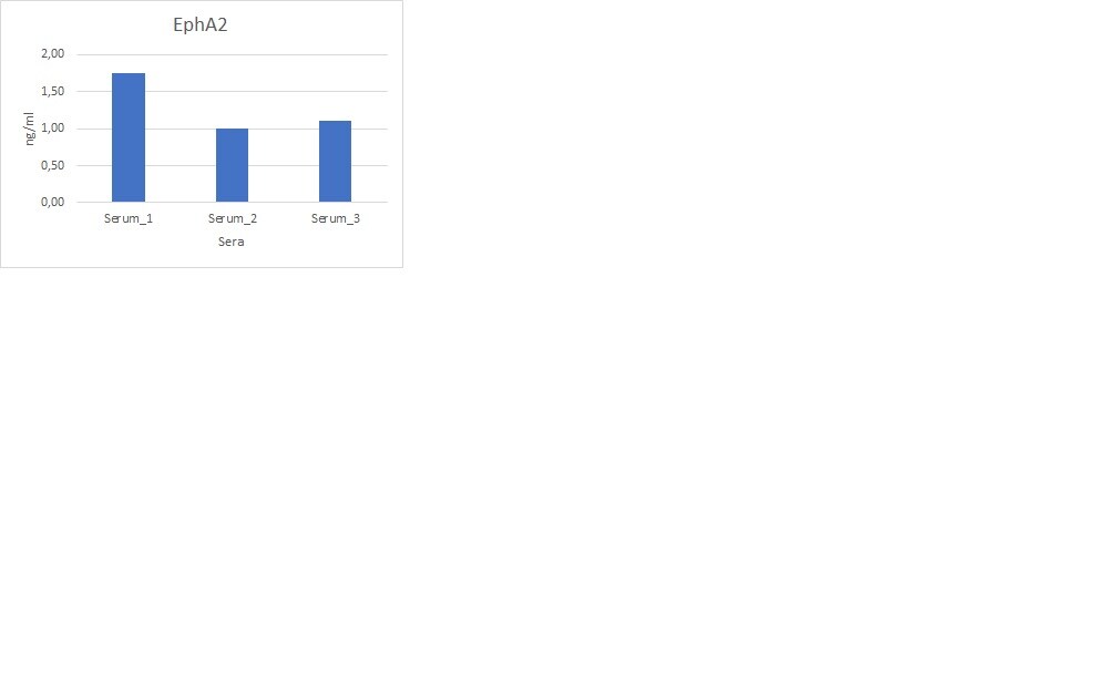 Human EphA2 Antibody MAB3035