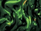 Human Fibulin 5/DANCE Antibody MAB3095
