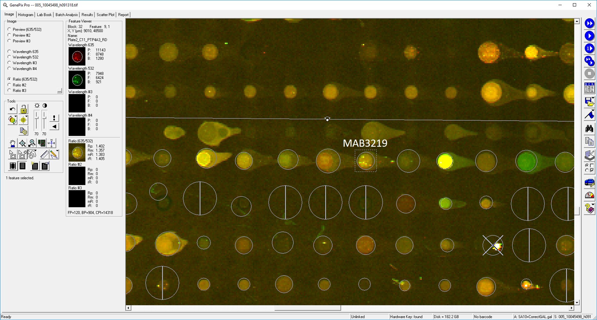 Human/Mouse/Rat PRL‑3 Antibody MAB3219