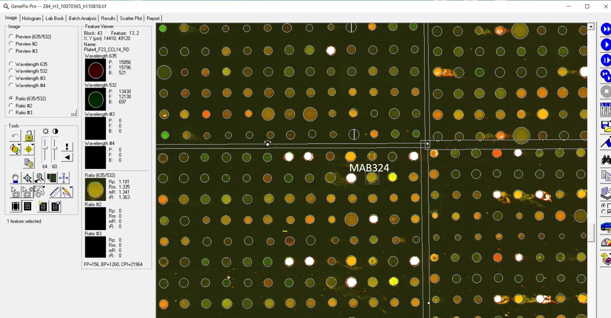 Human CCL14/HCC‑1/HCC‑3 Antibody MAB324