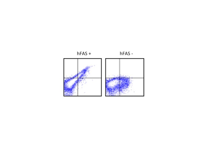 Human Fas/TNFRSF6/CD95 Antibody MAB326