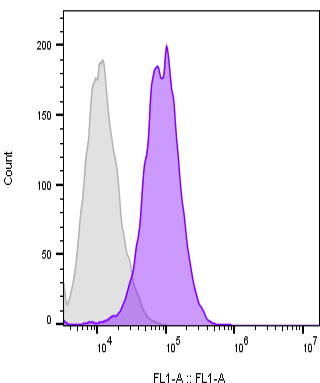 Human Mesothelin Antibody MAB32652