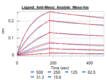 Human Mesothelin Antibody MAB32654