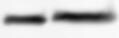 Human Tyk2 Antibody MAB3427