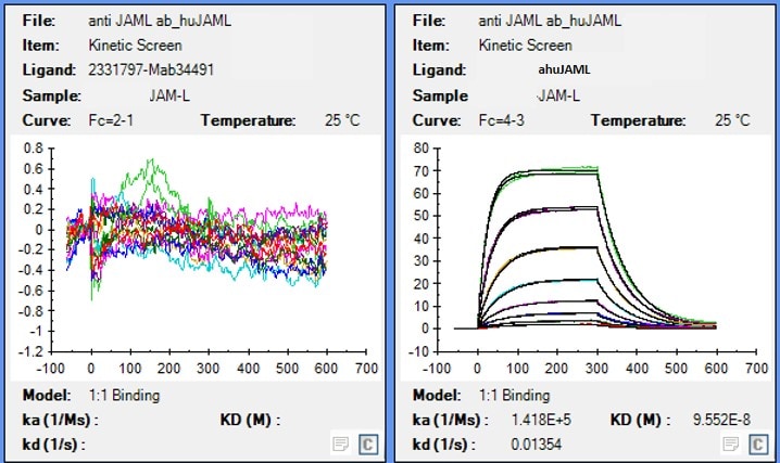 Human AMICA/JAML Antibody MAB34491