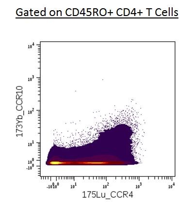 Human CCR10 Antibody MAB3478