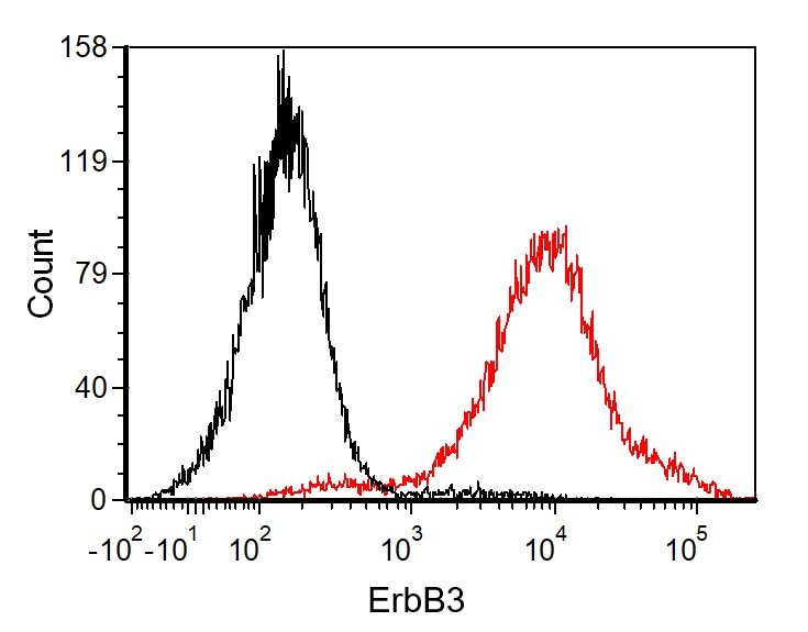 Human ErbB3/Her3 Antibody MAB3481
