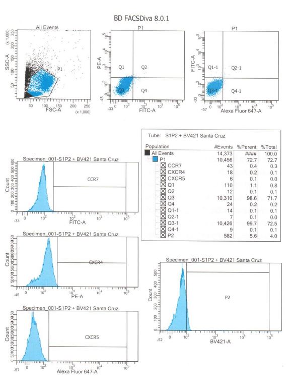 Human S1P2/EDG-5 Antibody MAB3649