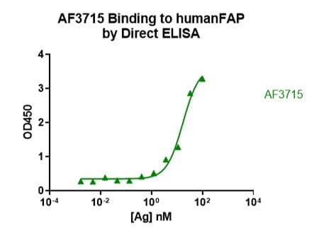 Human Fibroblast Activation Protein  alpha /FAP Antibody MAB3715