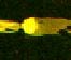 Human G-CSFR/CD114 Antibody MAB3811