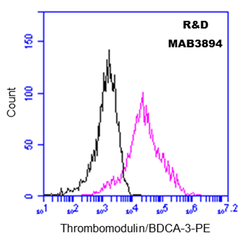 Mouse Thrombomodulin/BDCA‑3 Antibody MAB3894