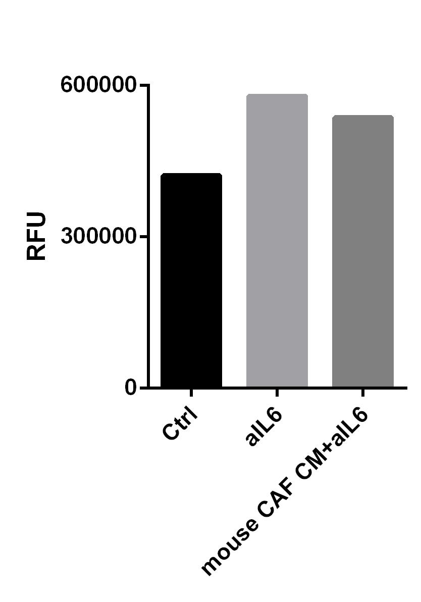 Mouse IL‑6 Antibody MAB406