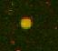 Human Integrin  beta 4/CD104 Antibody MAB4060