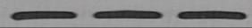 Mouse IL‑13 Antibody MAB413
